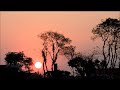 "The House of  Rising  Sun" by Royal Philharmonic Orchestra