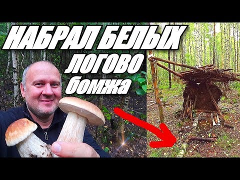 БЕЛЫЕ ГРИБЫ / ПОХОД ЗА ГРИБАМИ ИЮЛЬ 2019 / ПЕРМСКИЙ КРАЙ