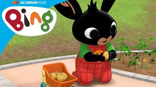 Download lagu Bing dan Sula membantu Amma menggali kentang! | Bing Bahasa Indonesia mp3 Download lagu Bing dan Sula membantu Amma menggali kentang! | Bing Bahasa Indonesia mp3