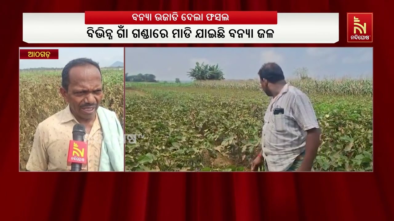 ସାପୁଆ ନଦୀରେ ବନ୍ୟା ଆସିବାରୁ ପ୍ରଭାବିତ ହୋଇଛନ୍ତି ଆଠଗଡ ଅଞ?