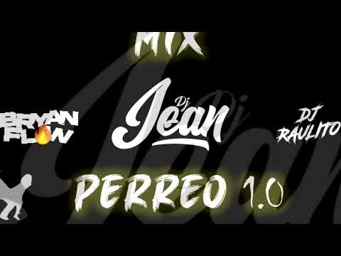 MIX PERREO 1.0 - DJ JEAN - DJ BRYAN FLOW / DJ RAULITO