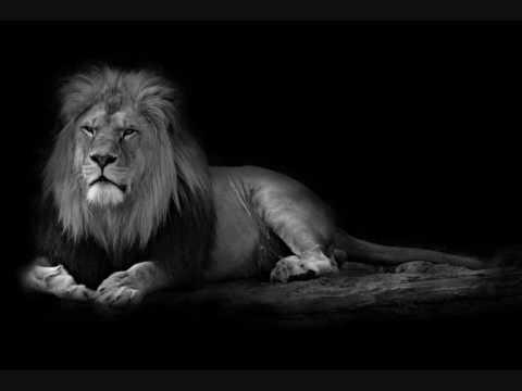 Groundation-Freedom Taking Over