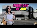FIRST DAY OF JOB Aayu And Pihu Show