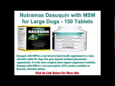 Selecting Nutramax Dasuquin with MSM for Large Dogs 150 Tablets ...