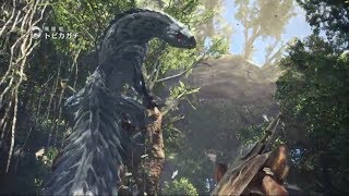 ［モンスターハンターワールド］まったり初心者生配信？！
