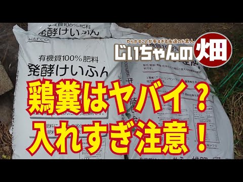 , title : '鶏糞と牛糞の違いと使い方。鶏糞を入れすぎるとヤバイことになるらしい！'