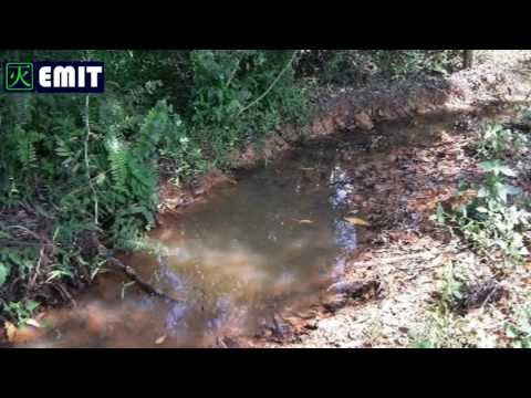 Part 1 - Mosquitoes Breeding habits and how to control 2013