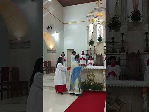 8ª Noite da Festa de Nossa Senhora de Fátima.
