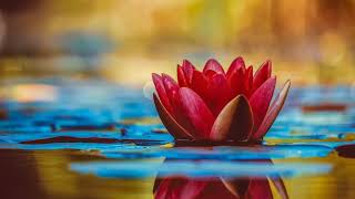 Jeremy Blake - I&#39;ll Remember You