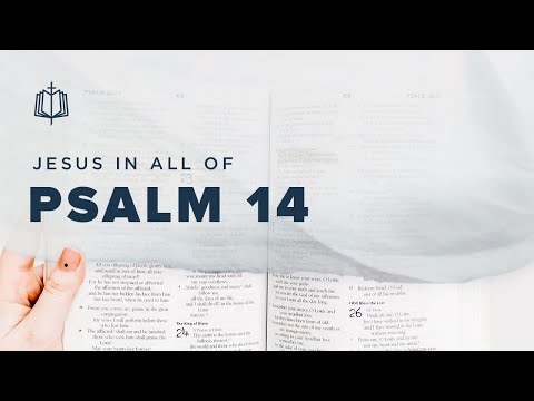 Psalm 14 | There Is No God | Bible Study