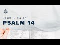 Psalm 14 | There Is No God | Bible Study