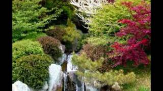 Feliz navidad - Villancicos de navidad