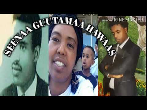 SEENAA GOTTAA OROMOO GUUTAMAA HAWAAS