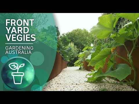 Growing vegies in style in a small space garden