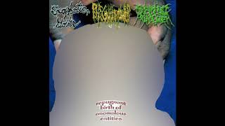 Exophotic Goiter / Phlegm Thrower / Septic Chyme – Repugnant Birth Of Anomalous Entities