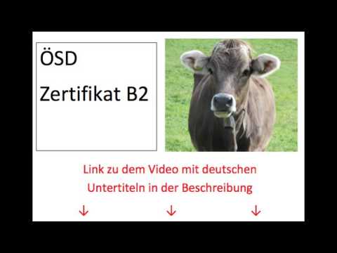 ÖSD Zertifikat B2 Monika mündliche Prüfung mit deutschen Untertiteln