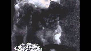 Cultus Sanguine I Ride the winds of hate