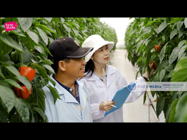 Hệ thống thu hồi nước Fresh Studio