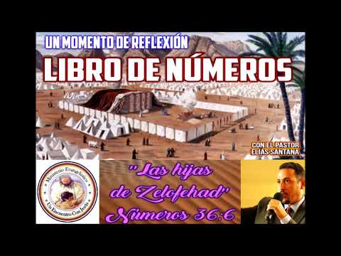 The daughters of Zelophehad. Numbers 36:6