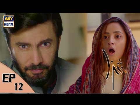 Shiza Ep 12 - 2nd June 2017 - ARY Digital Drama