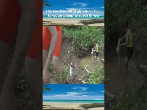 Casting Net Story #   033