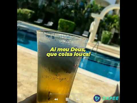 Vida De Solteiro video