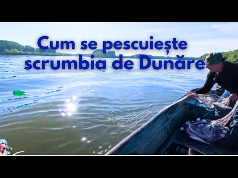 Hoinar prin Deltă | Cum se pescuiește scrumbia de Dunăre