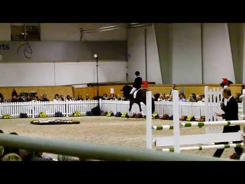 Hengstschau Aachen 2012 - mit Lord Loxley, Don Juan de Hus, Rock Forever, Rubinio u.a.