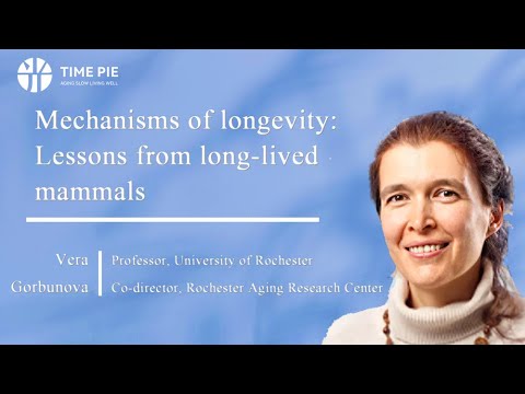Vera Gorbunova - Mechanisms of longevity: lessons from long-lived mammals