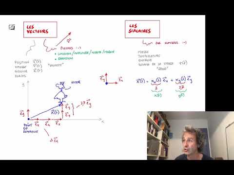 iepr1011 : cours 2 : épisode 2 : c'est quoi un vecteur