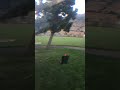 Drunk goggles!