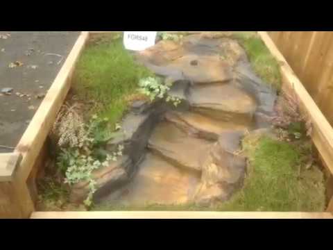 Watch Video on YouTube