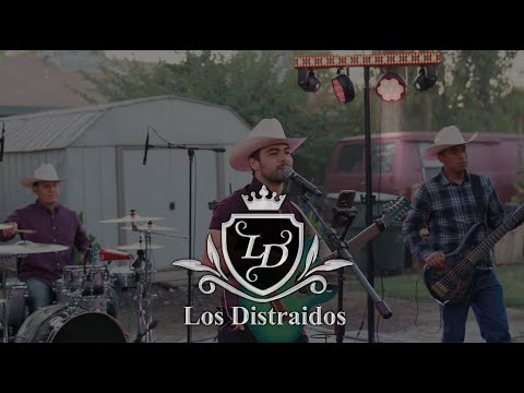 Los Distraidos - A Que Sabes (En Vivo 4k)