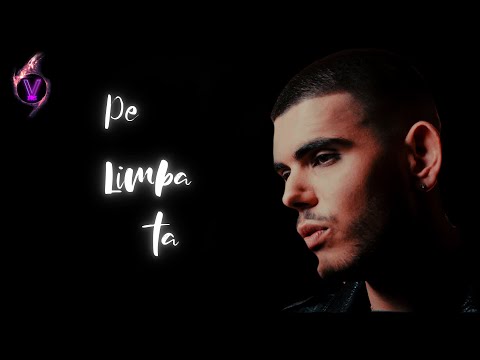 Andrei Banuta - Pe limba ta Versuri ♫ Nosfe