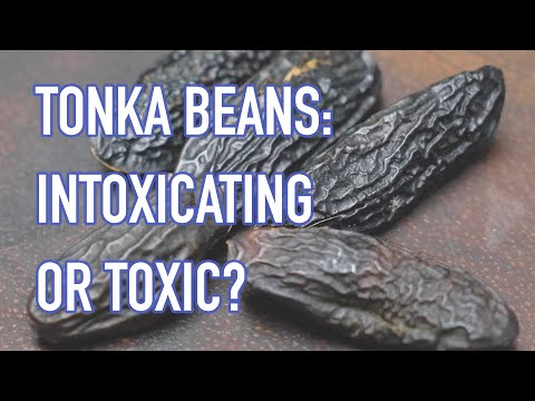 Tonka beans and coumarin - tasty and dangerous?