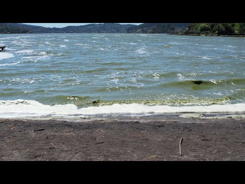 Declaran zona de riesgo sanitario al Lago Vichuquén | 24 Horas TVN - Red Maule