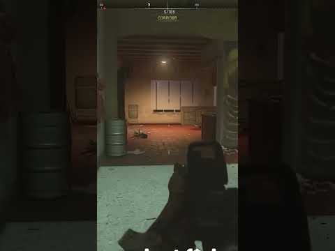 WHEN A KIWI AND AUSSIE PLAY COD TOGETHER (FUNNY GAMING MOMENTS)