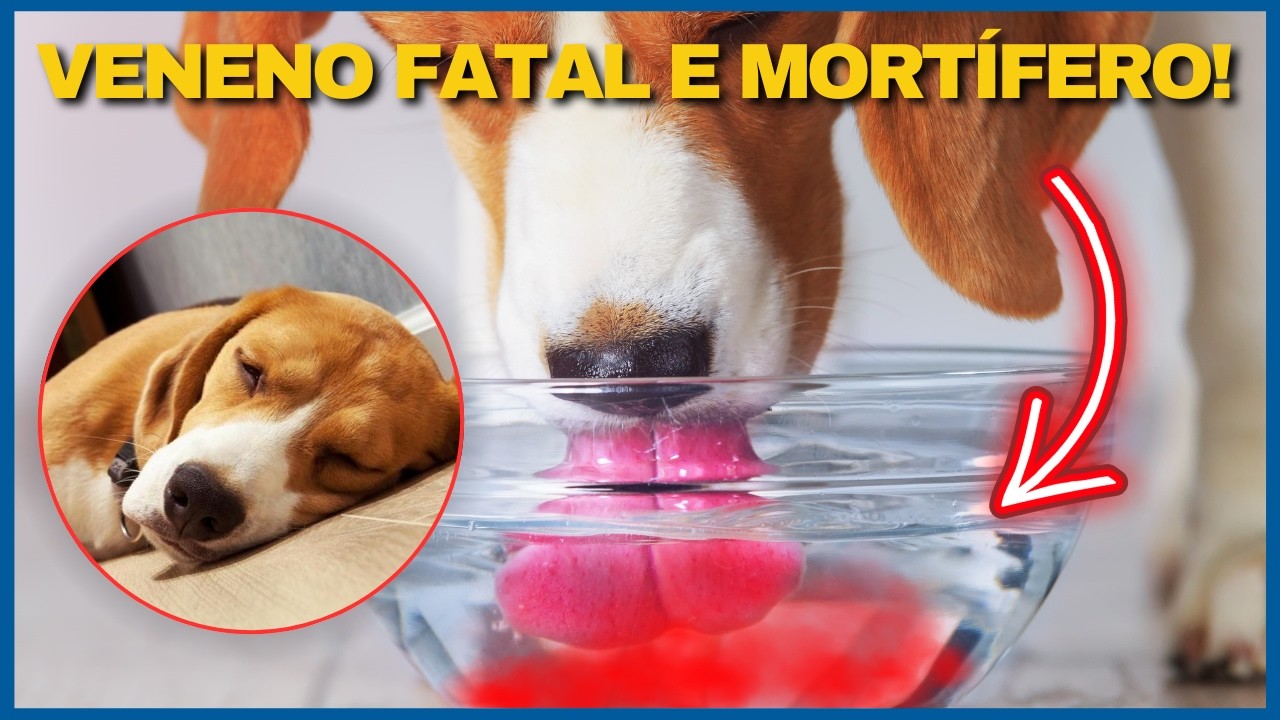 A TOXINA MAIS PERIGOSA E FATAL DO MUNDO! DEIXE SEU PET LONGE! Saiba Sobre Botulismo em Cães e Gatos.