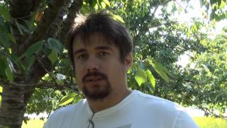 США 465: Фото-сессия, роды в Калифорнии, лютики-цветочки. Жизнь продолжается.