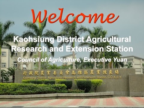 Brief Introduction to Kaohsiung District Agricultural Research and Extension Station