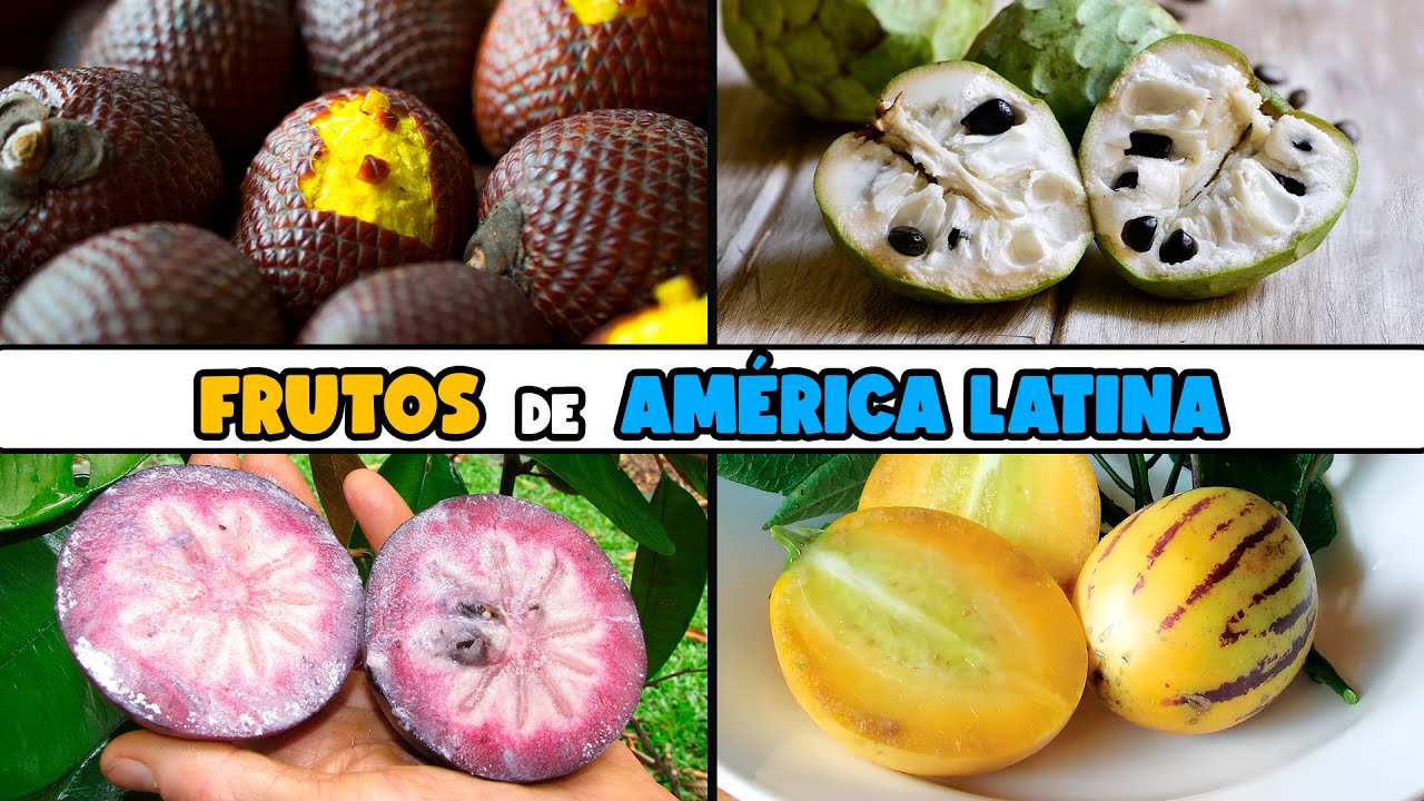 10 PLANTAS FRUTALES NATIVAS de AMÉRICA LATINA