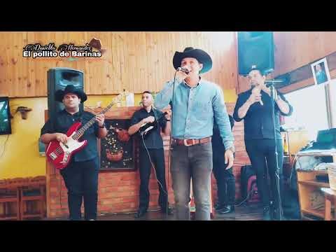 El Pollito de Barinas Pa que critique la gente | joropo llanero música llanera| pa los criticones