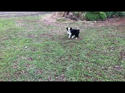 Little Miss Betsy is really enjoying her afternoon.