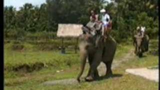 preview picture of video 'val on elephants in Kuala Gandha, Malaysia - she's not sure it was there'