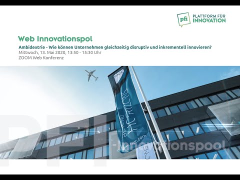 Gertrud Hierzer beim Web-Innovationspool der PFI zum Thema Ambidextrie