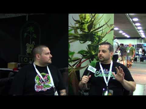 OhioCannabis.com Presents: Riot Seeds at the 2018 Detroit CannaCon - #12
