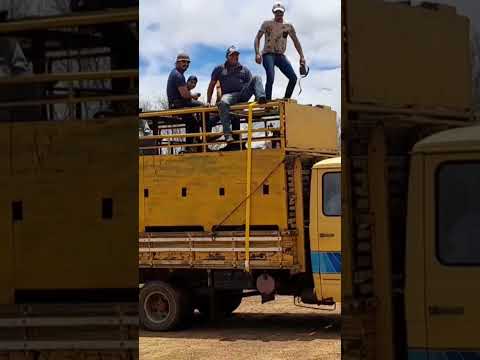 Sérgio e Tadeu de Ouro Velho vem chegando para o Carnaval do Vaqueiro