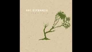 Ani DiFranco - Hypnotized