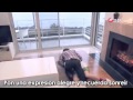 Story of little love - Park Eun Bin (Operation ...