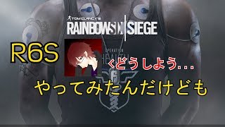 R6Sやってみたんだけども